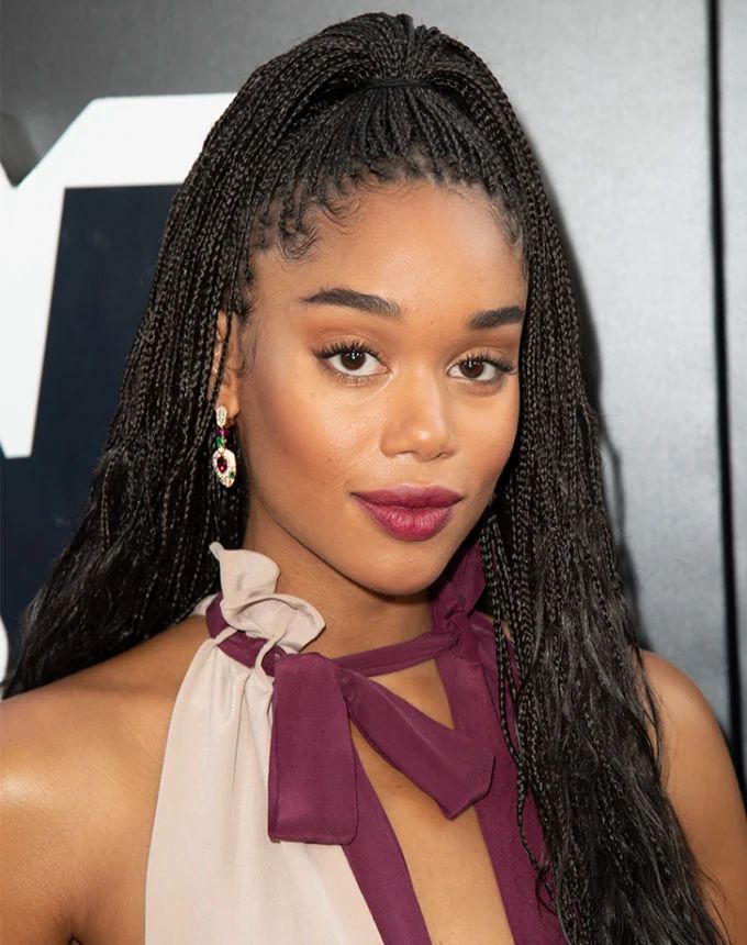 Micro Box Braids High Ponytail Micro Box Braids High Ponytail — Box Braids 2027 for Prom