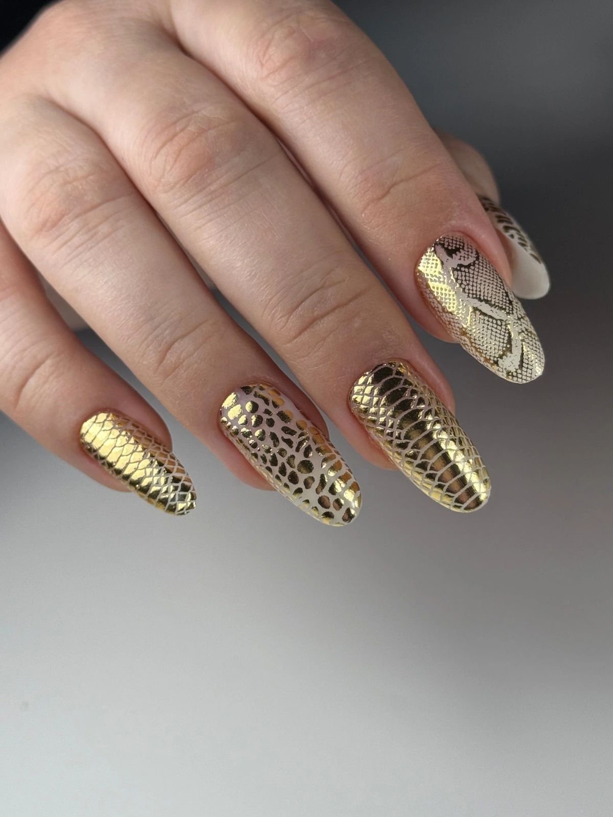 Mixed Media Gold Foil Snake Long Coffin Mixed Media Gold Foil Snake Long Coffin — Snake Print Nails 2027