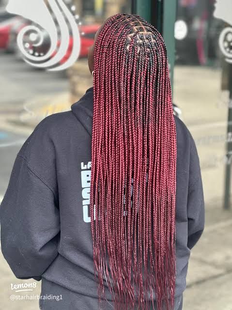 Dark Red With Black Roots Visual Idea — Purple Knotless Braids 2027
