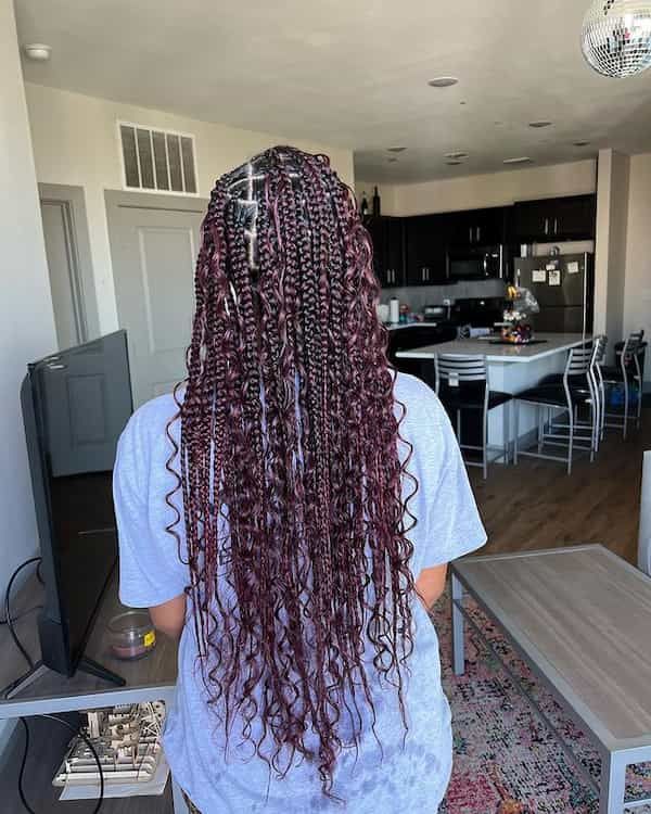 No Bangs Visual Idea — Purple Knotless Braids 2027