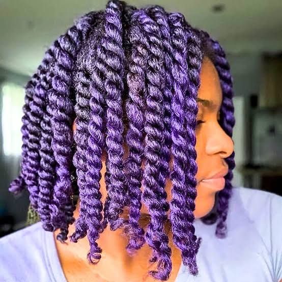 Purple Visual Idea — Purple Knotless Braids 2027
